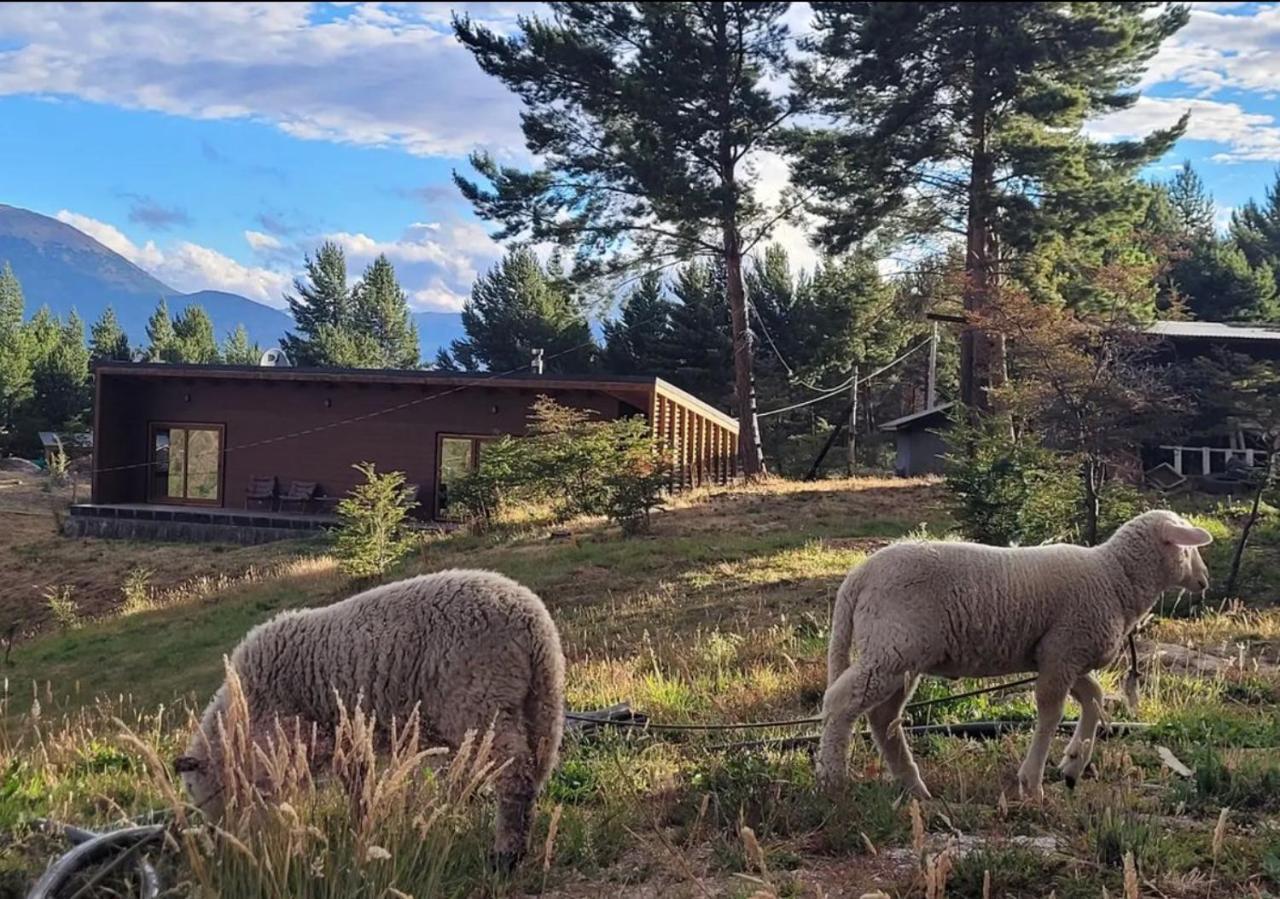 Turismo Y Cabanas Dragon De La Patagonia Apartment Cochrane Exterior foto